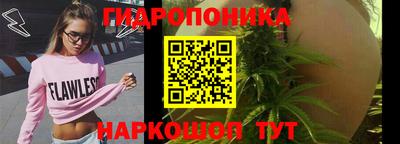 шишки Краснознаменск