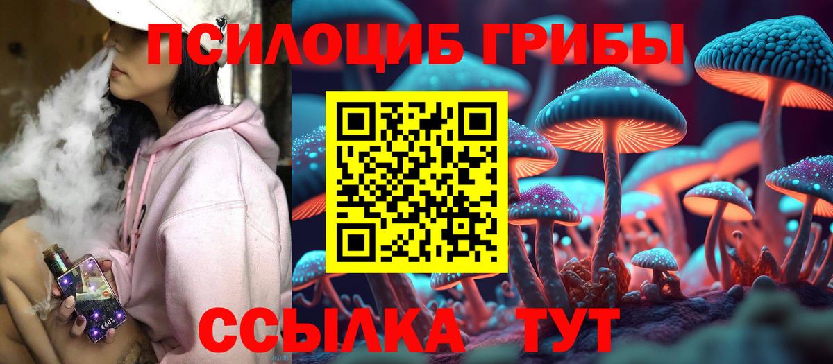 Галлюциногенные грибы ЛСД  Вход с VPN  Галлюциногенные грибы Magic Shrooms  Камень-на-Оби 